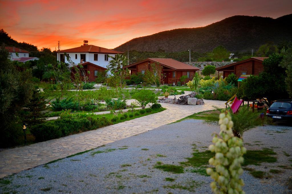 Hayitbuku Ahsapevleri Pension Mesudiye  Buitenkant foto