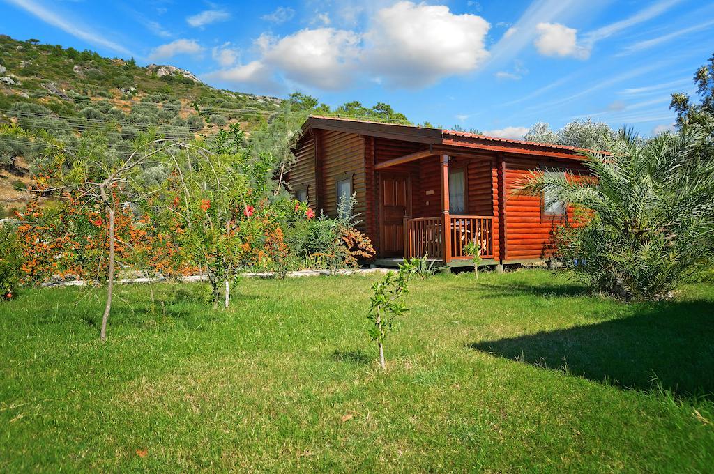 Hayitbuku Ahsapevleri Pension Mesudiye  Buitenkant foto