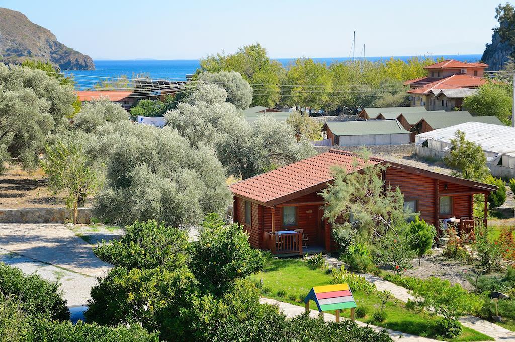 Hayitbuku Ahsapevleri Pension Mesudiye  Buitenkant foto