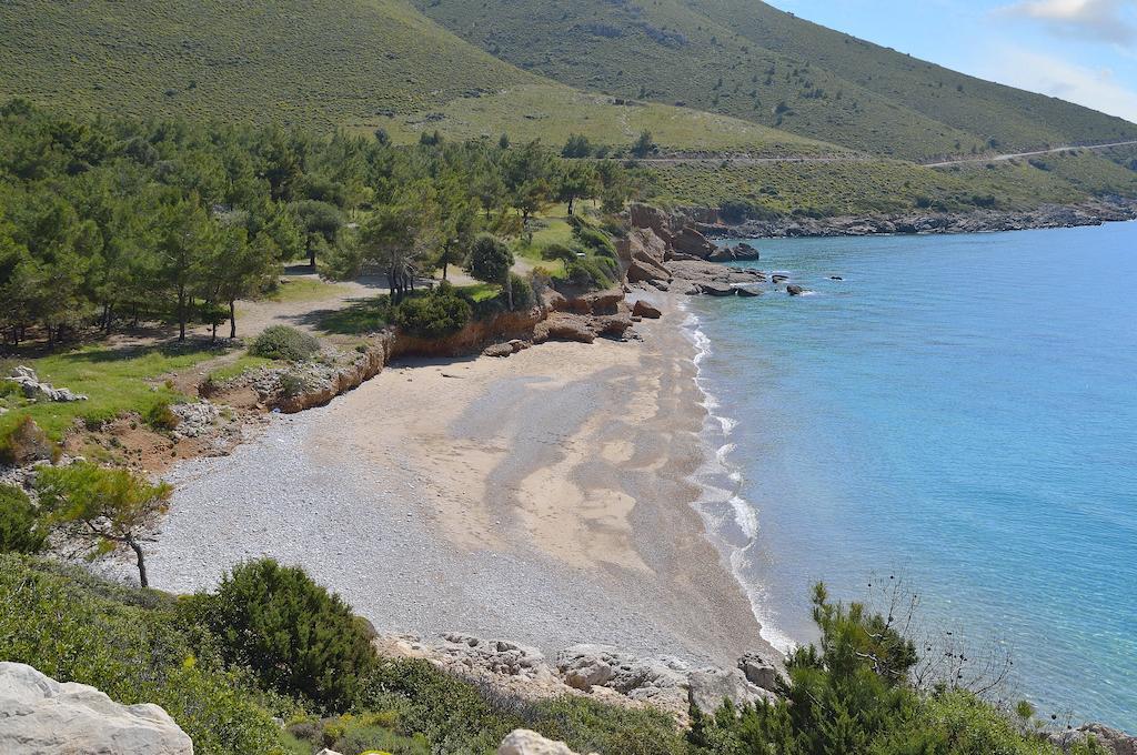 Hayitbuku Ahsapevleri Pension Mesudiye  Buitenkant foto