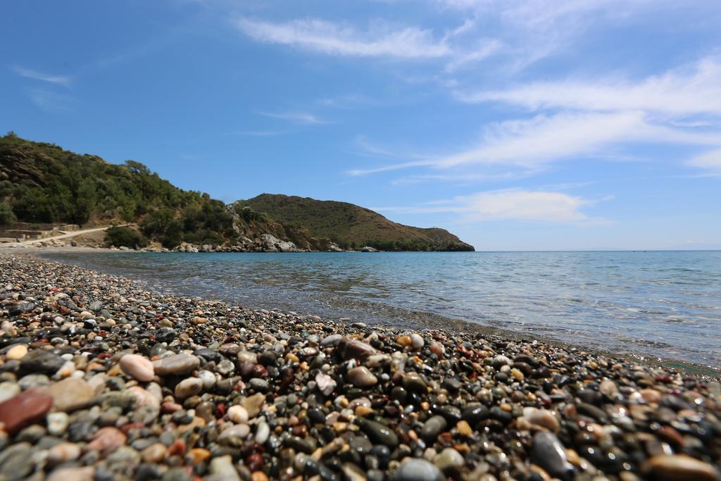 Hayitbuku Ahsapevleri Pension Mesudiye  Buitenkant foto