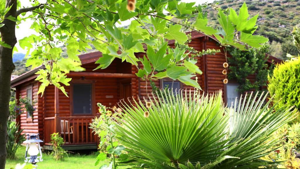 Hayitbuku Ahsapevleri Pension Mesudiye  Buitenkant foto